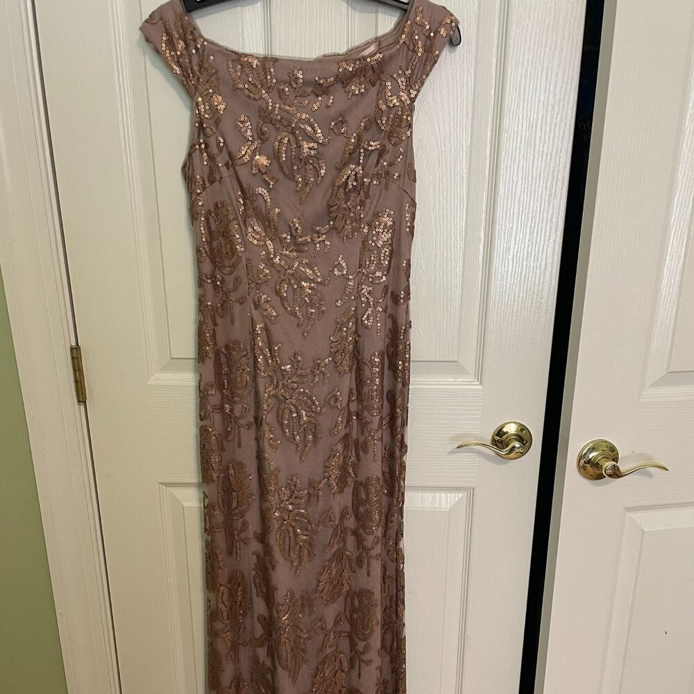 Beautiful Floor Length Adrianna Papell Dress